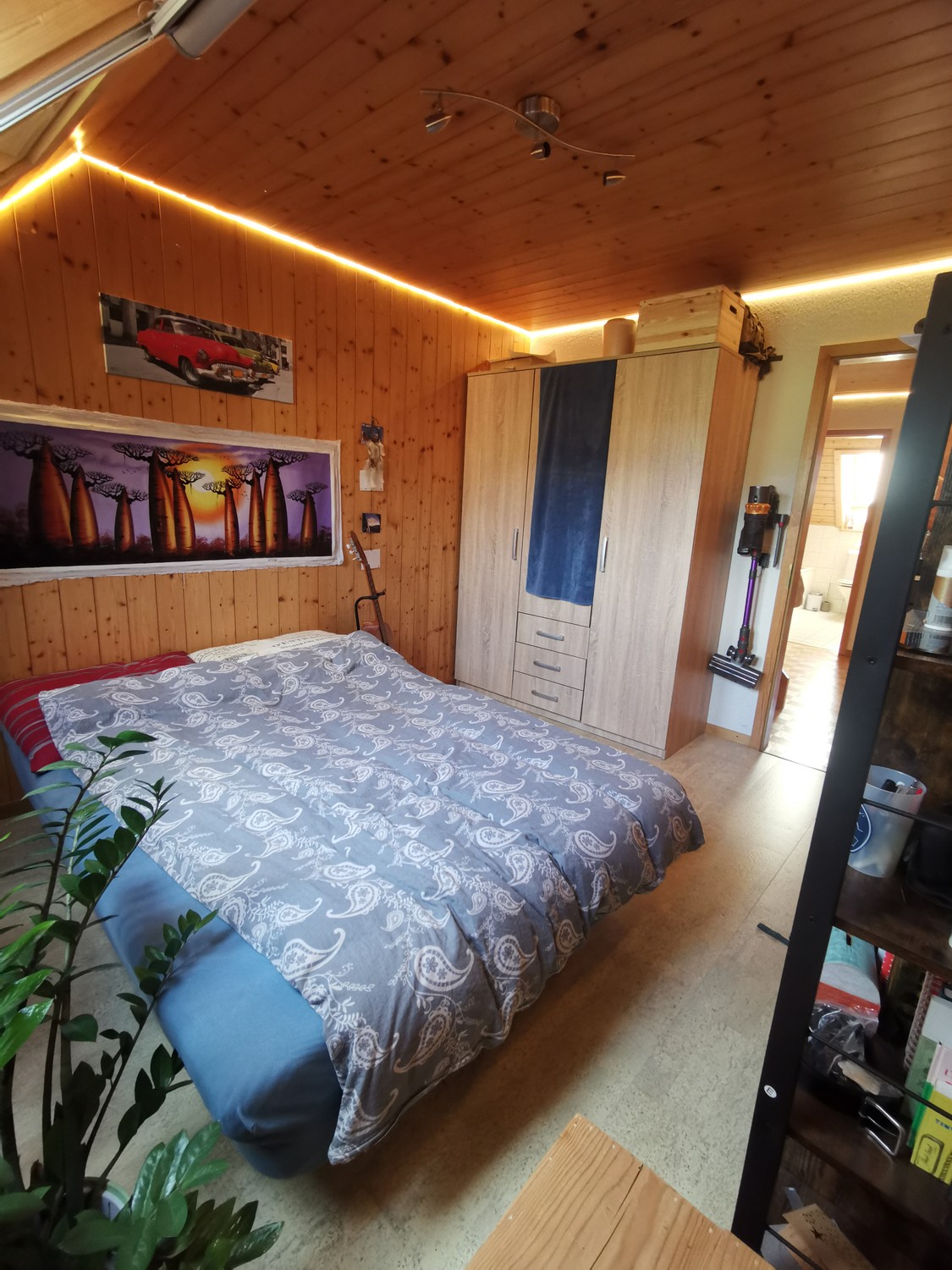 Room in a shared flat