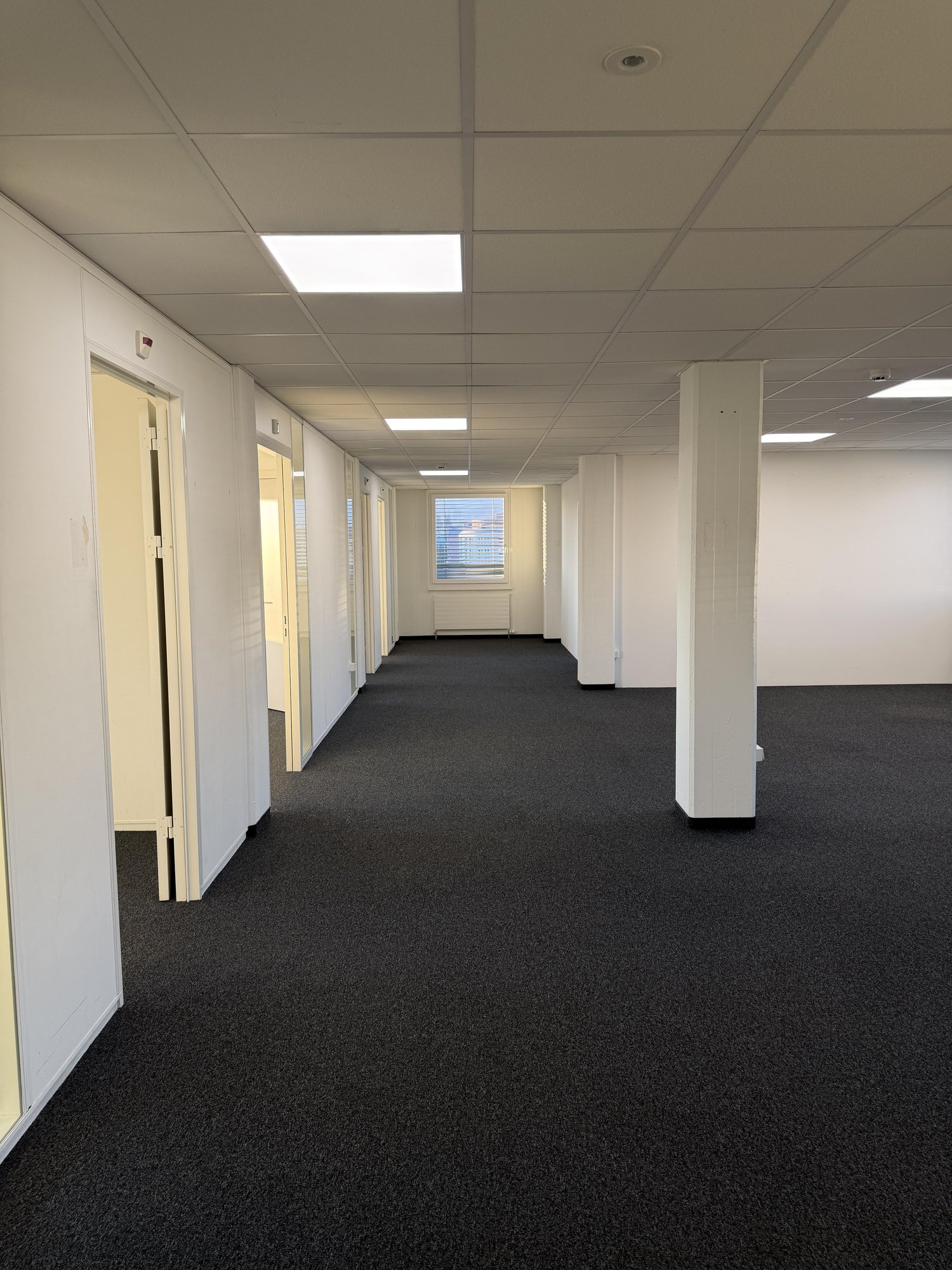 236m² office