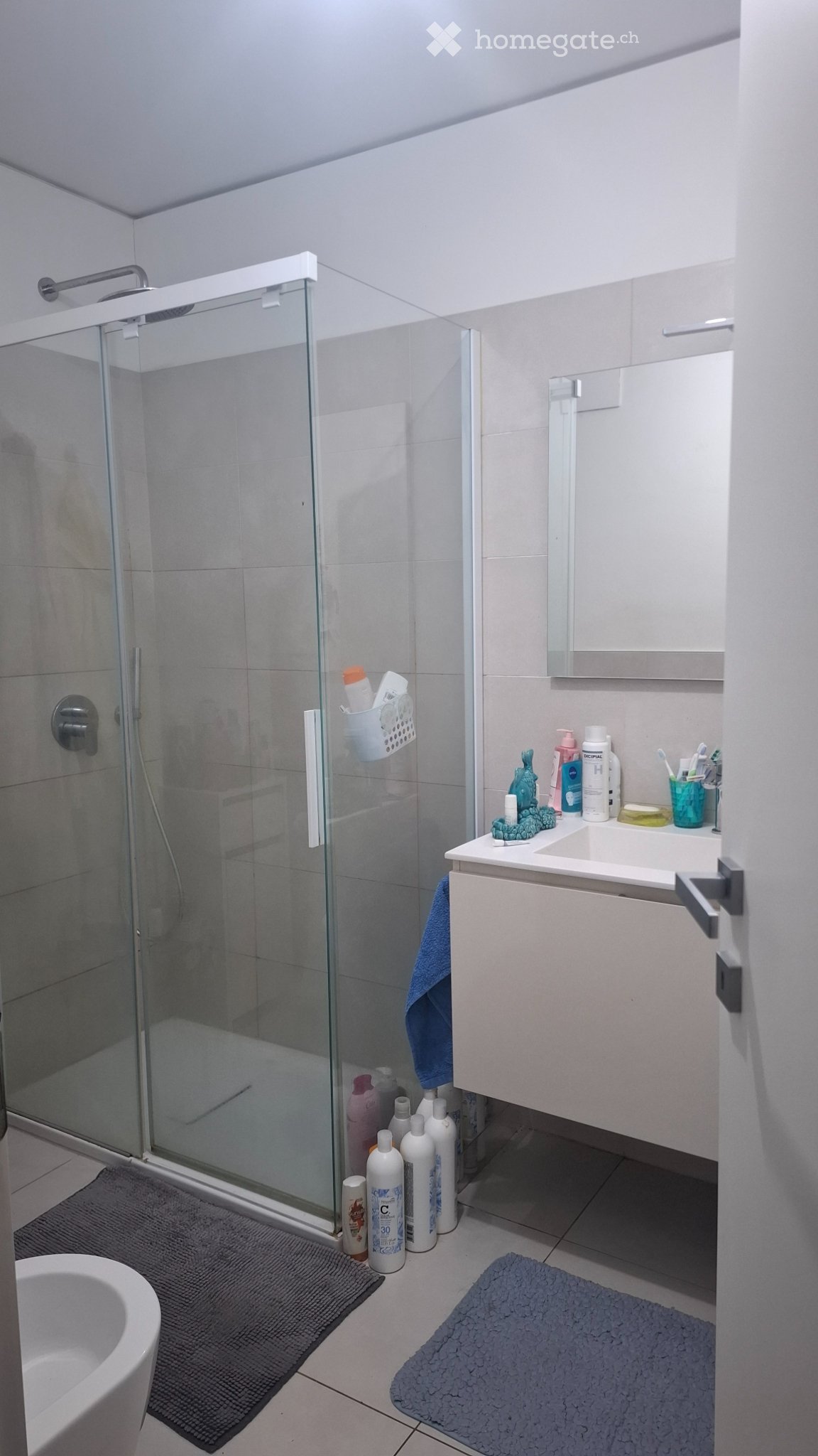 2 ½ Zimmer Einfamilienhaus