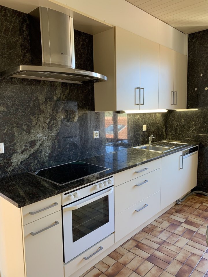 3 ½ Zimmer-Apartment