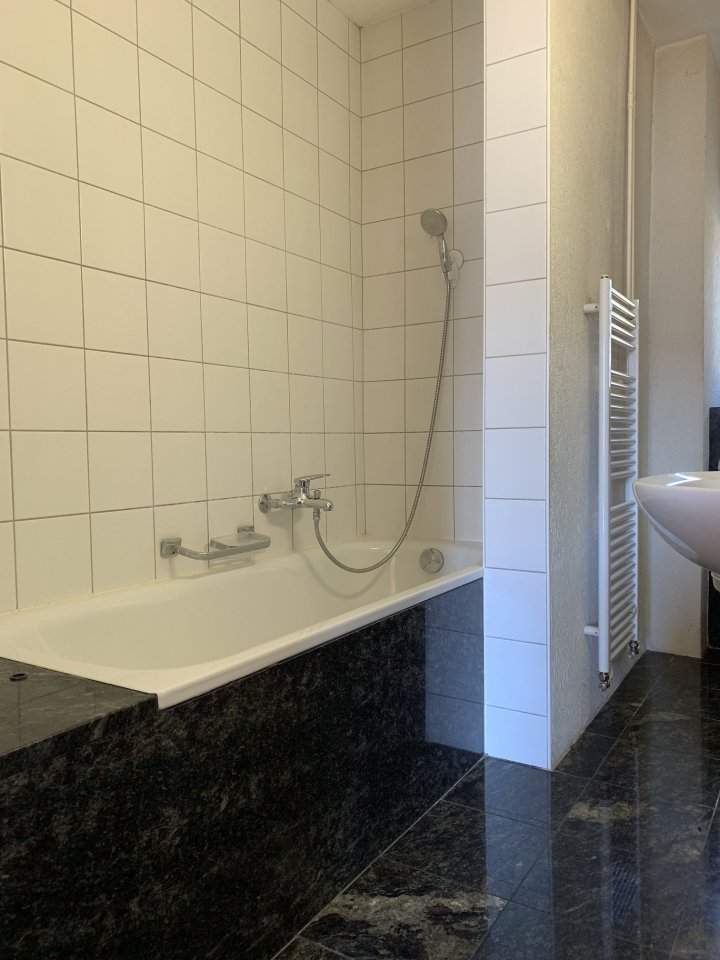 3 ½ Zimmer-Apartment