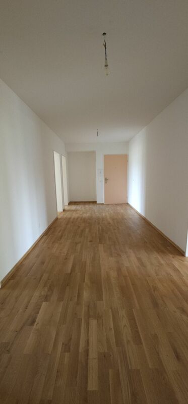5 rooms apartment