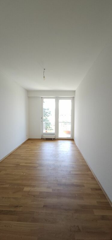 5 rooms apartment