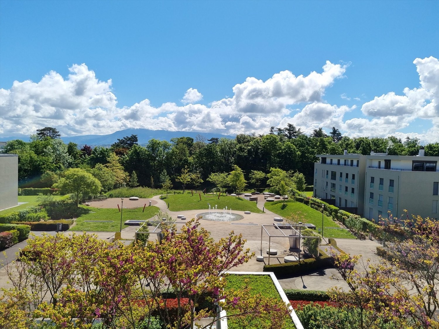 Appartamento di 6 ½ locali