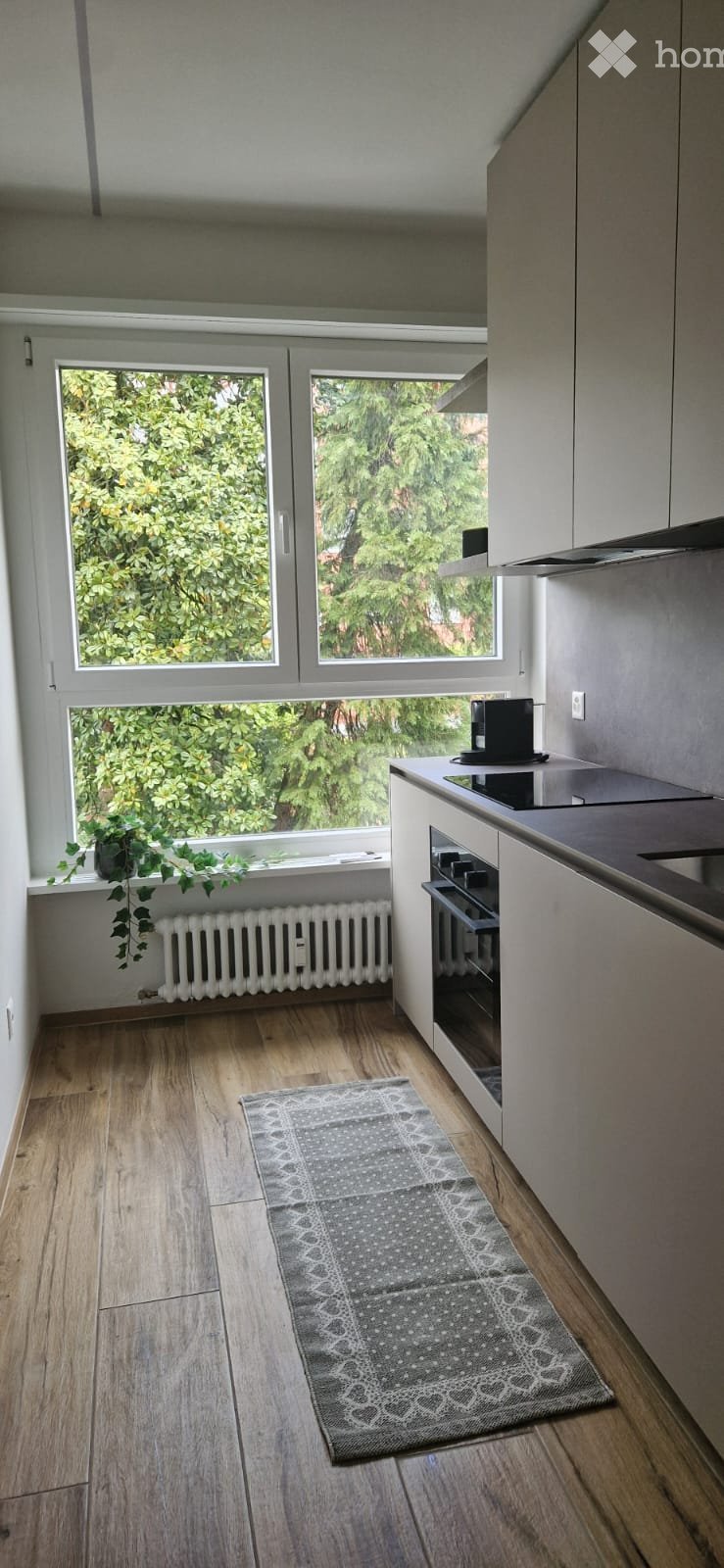 2-Zimmer-Appartement