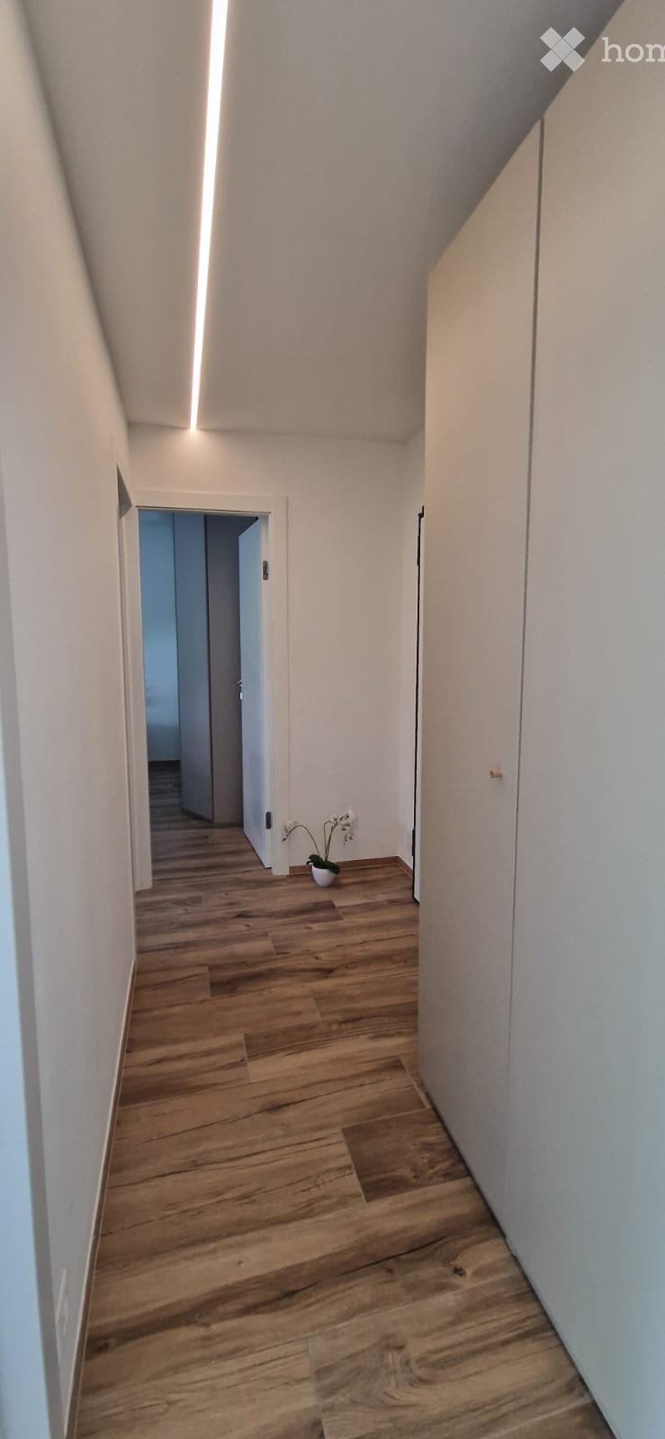 2-Zimmer-Appartement