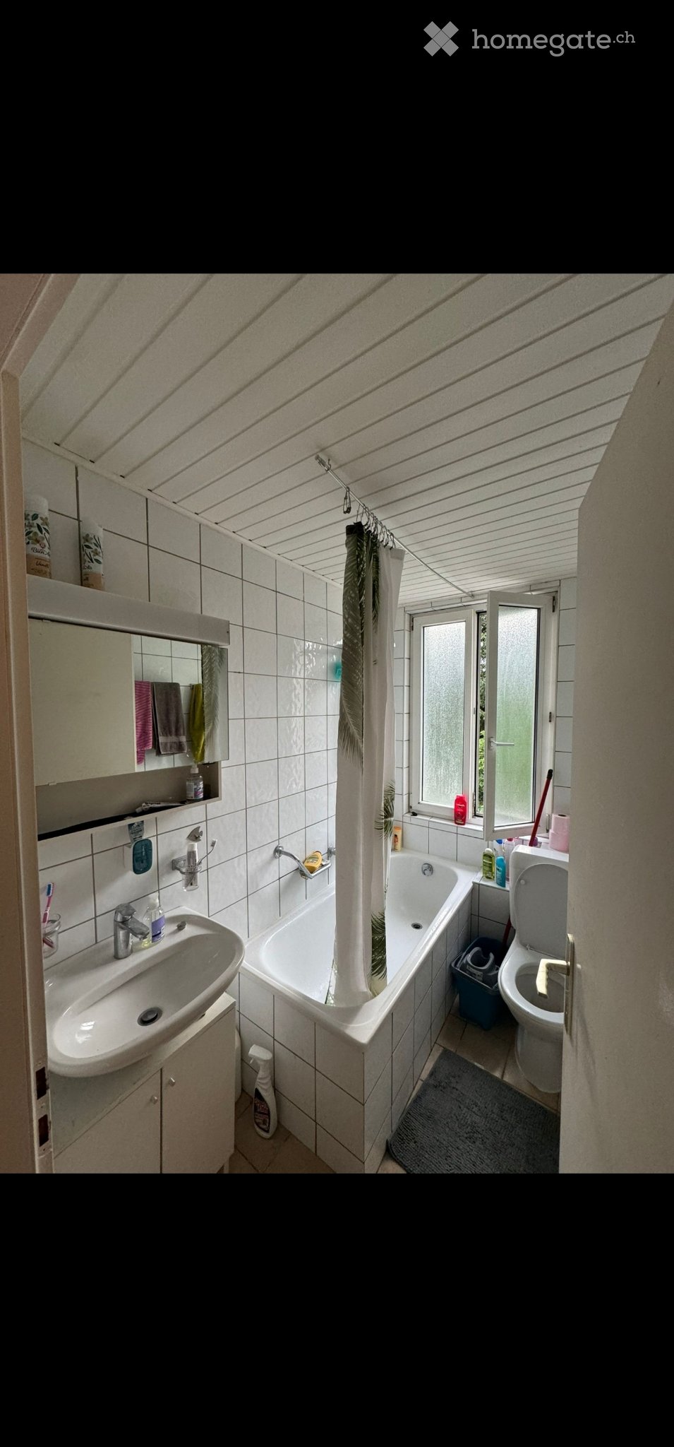 3 ½ Zimmer Wohnung