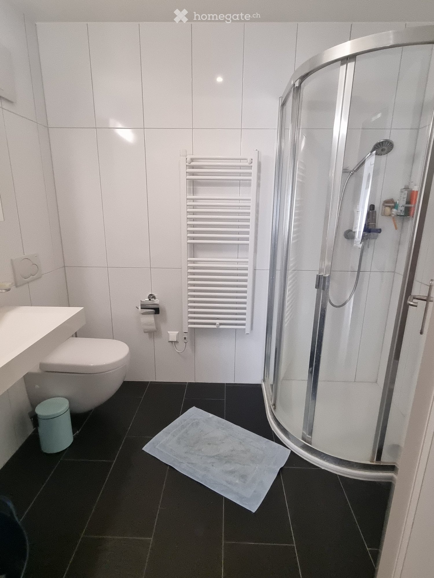 4 ½ Zimmer-Wohnung