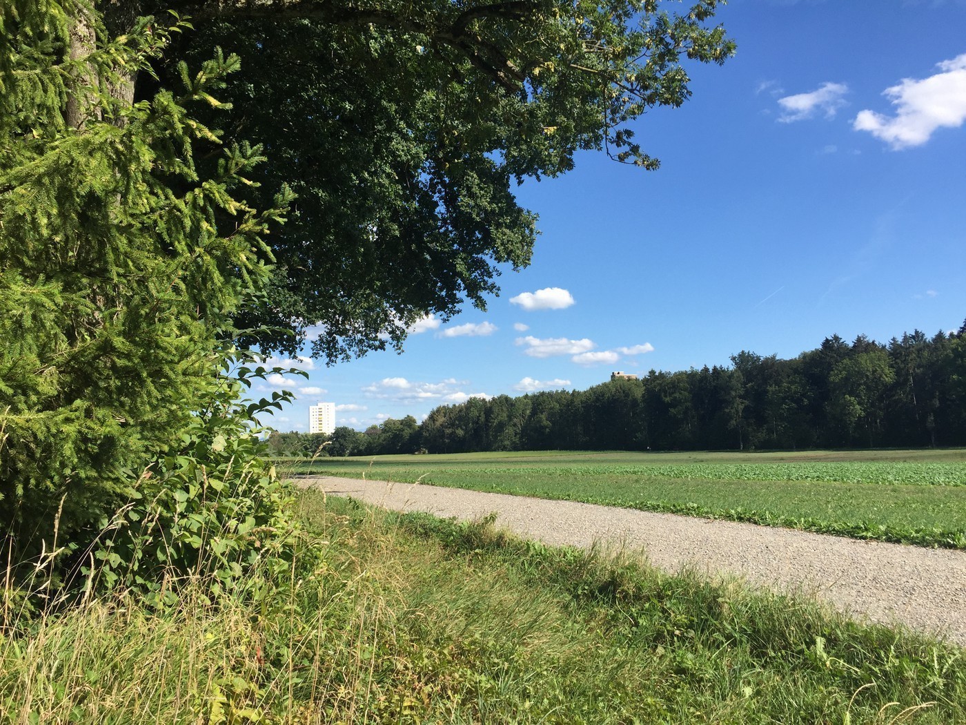 Appartamento di 2 ½ locali