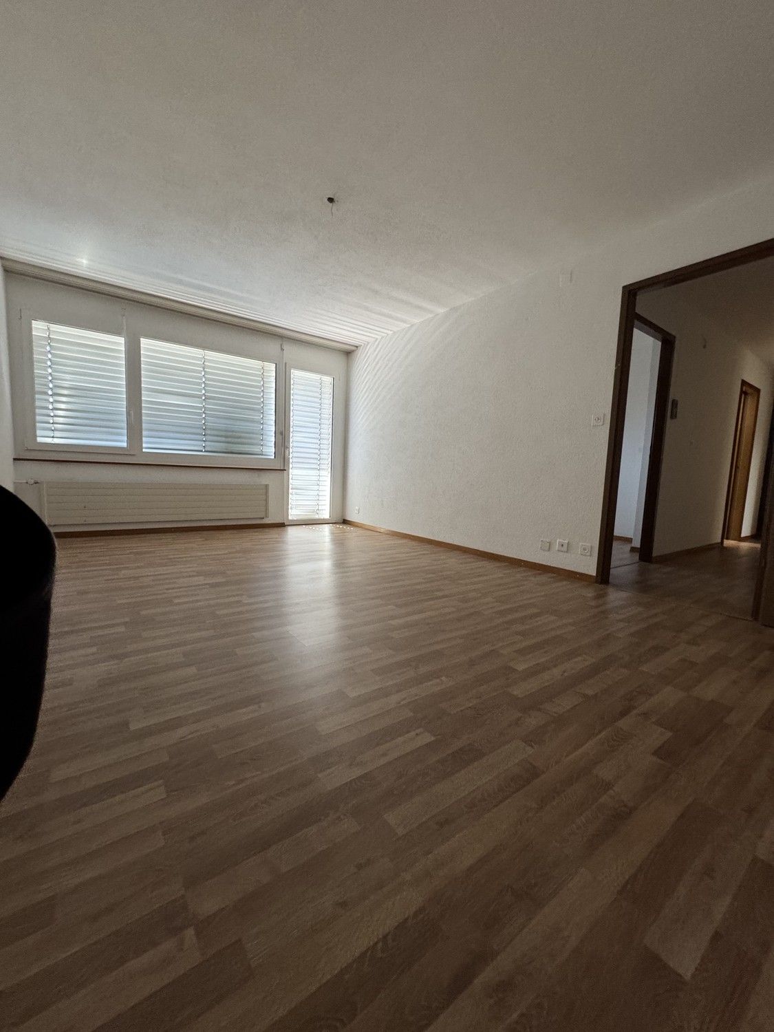 3 ½ Zimmer Wohnung