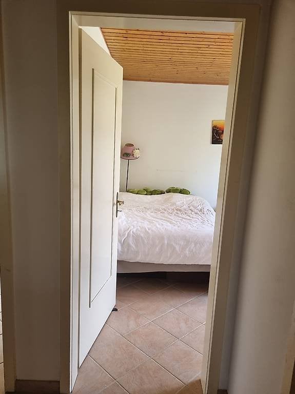 1 Zimmer Einzelzimmer