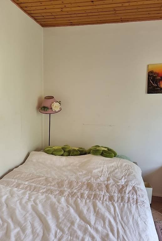 1 Zimmer Einzelzimmer