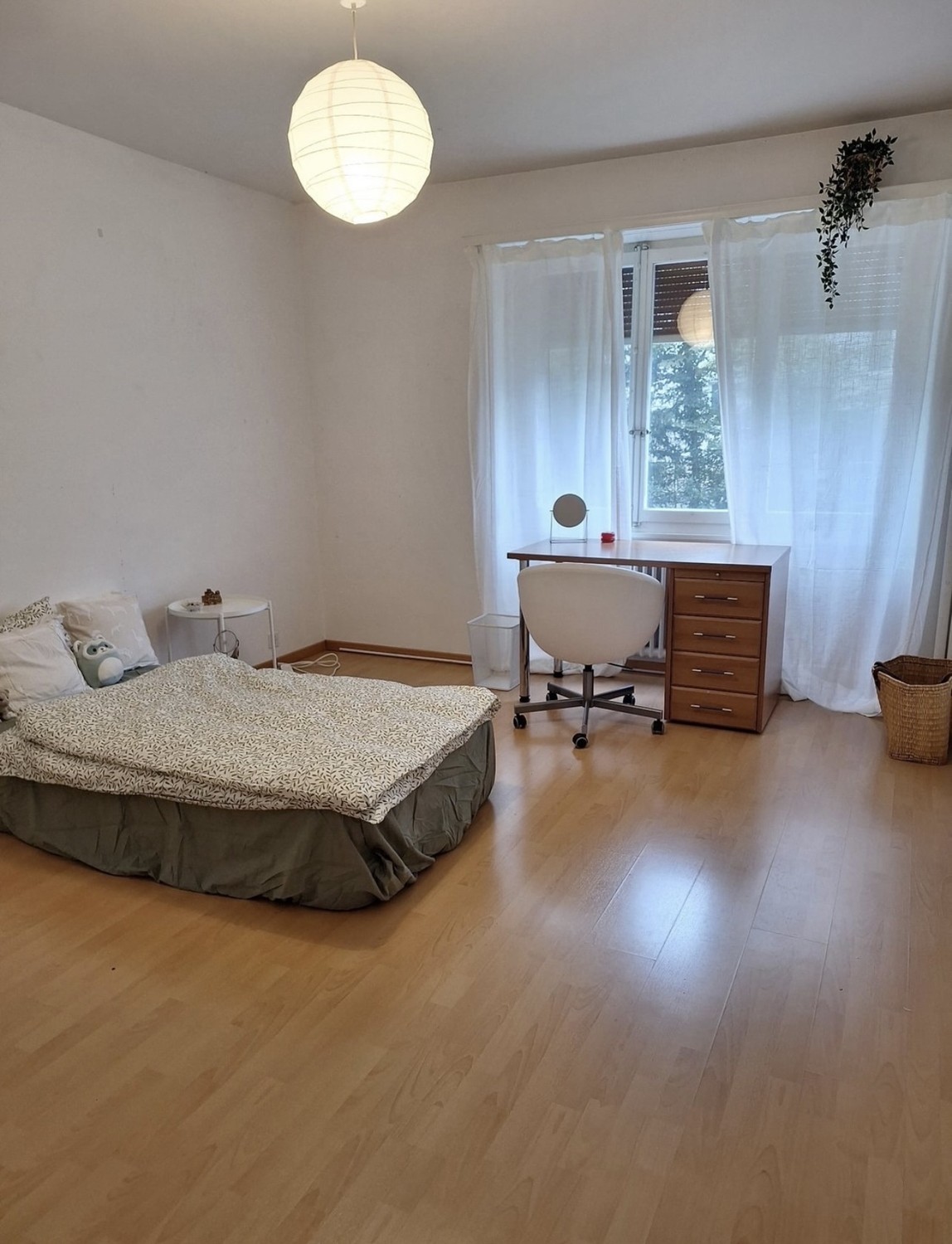 Chambre dans une colocation