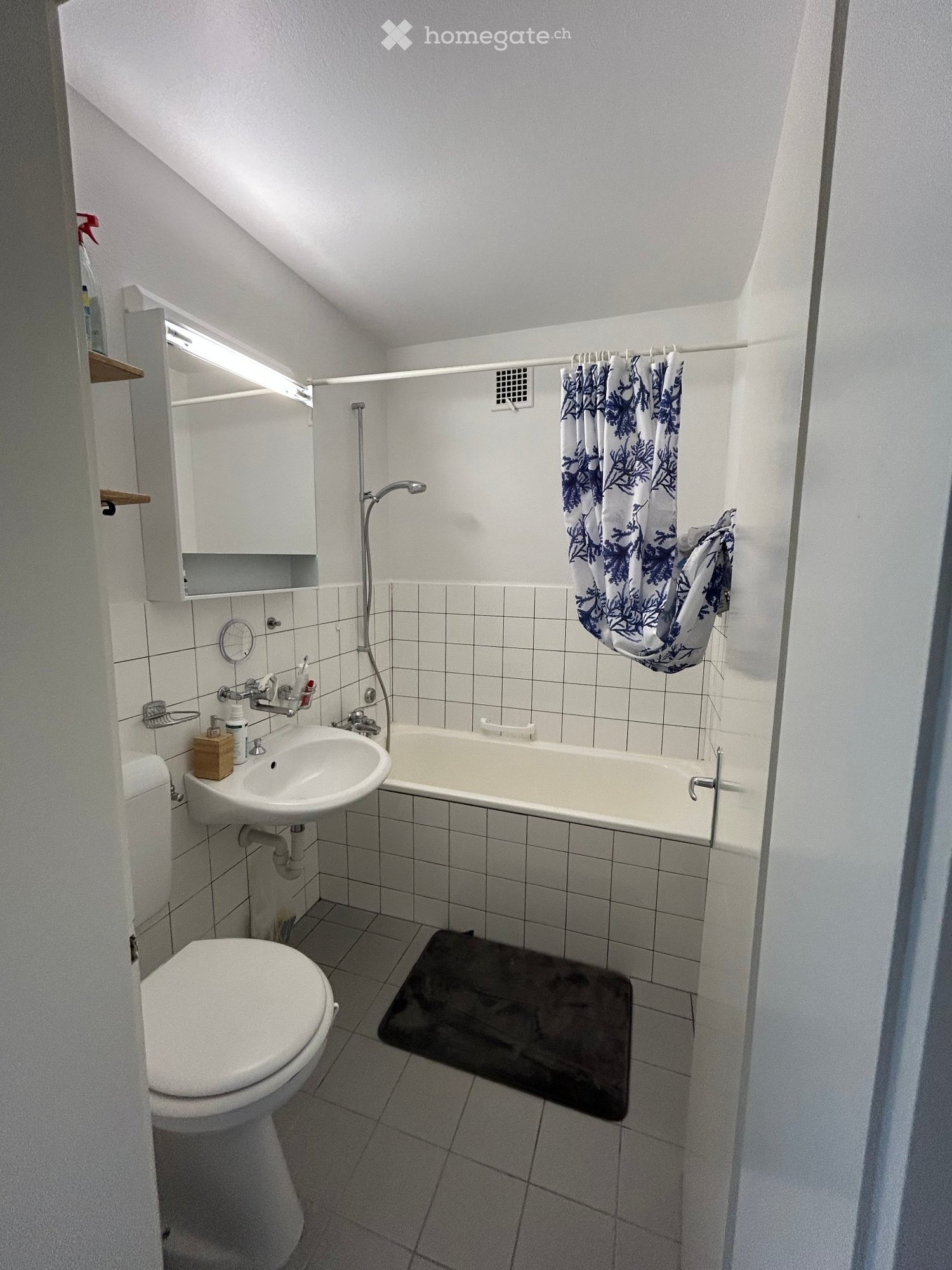 2 ½ Zimmer-Wohnung