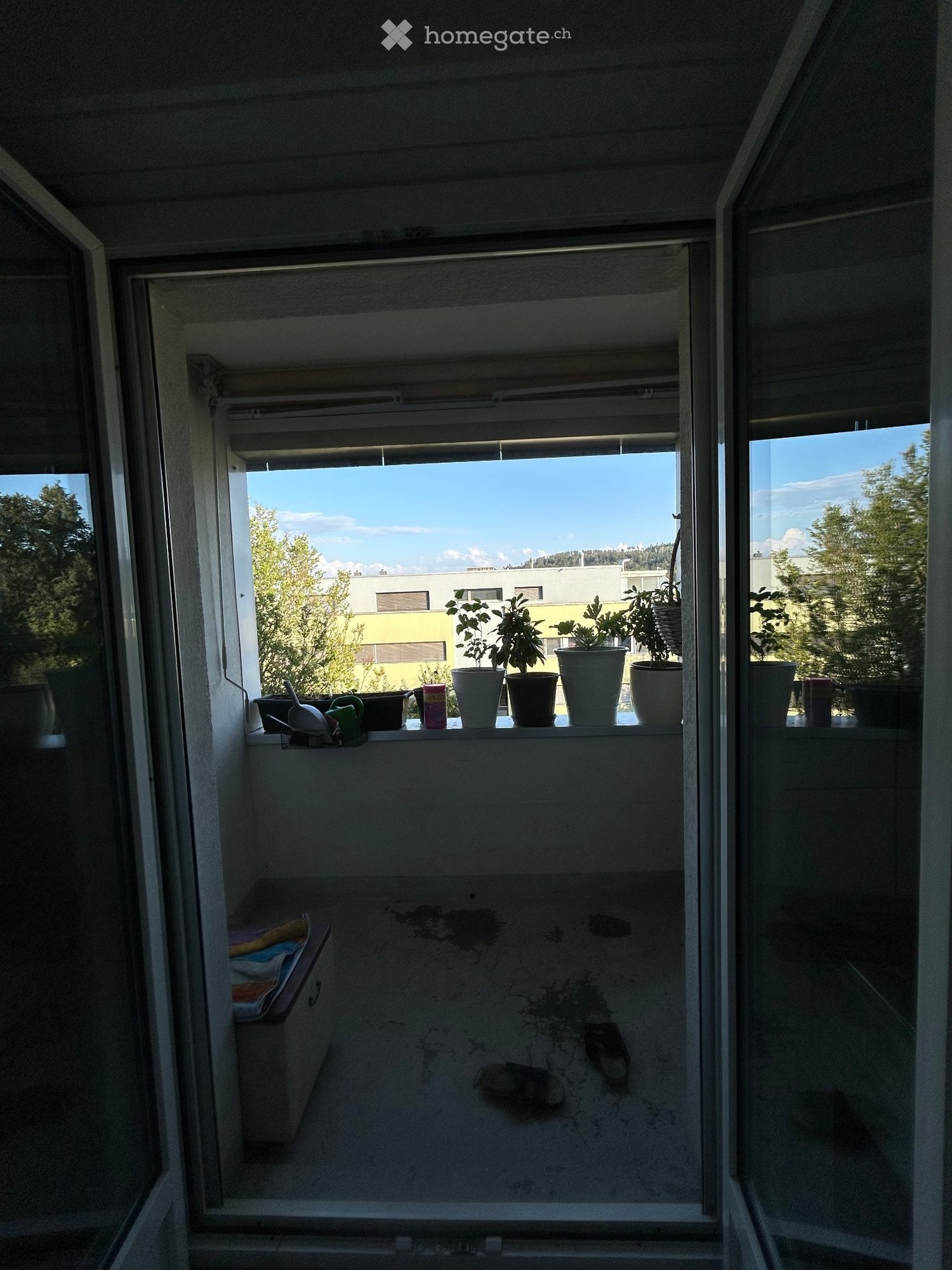 2 ½ Zimmer-Wohnung