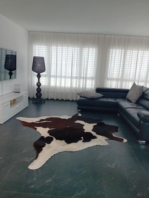 5 ½ rooms apartment