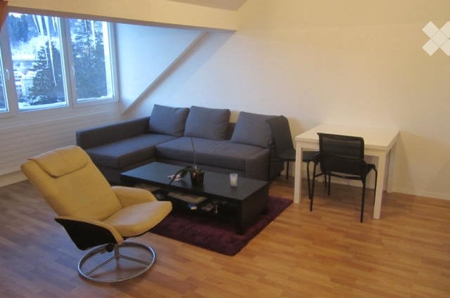3 ½ rooms apartment