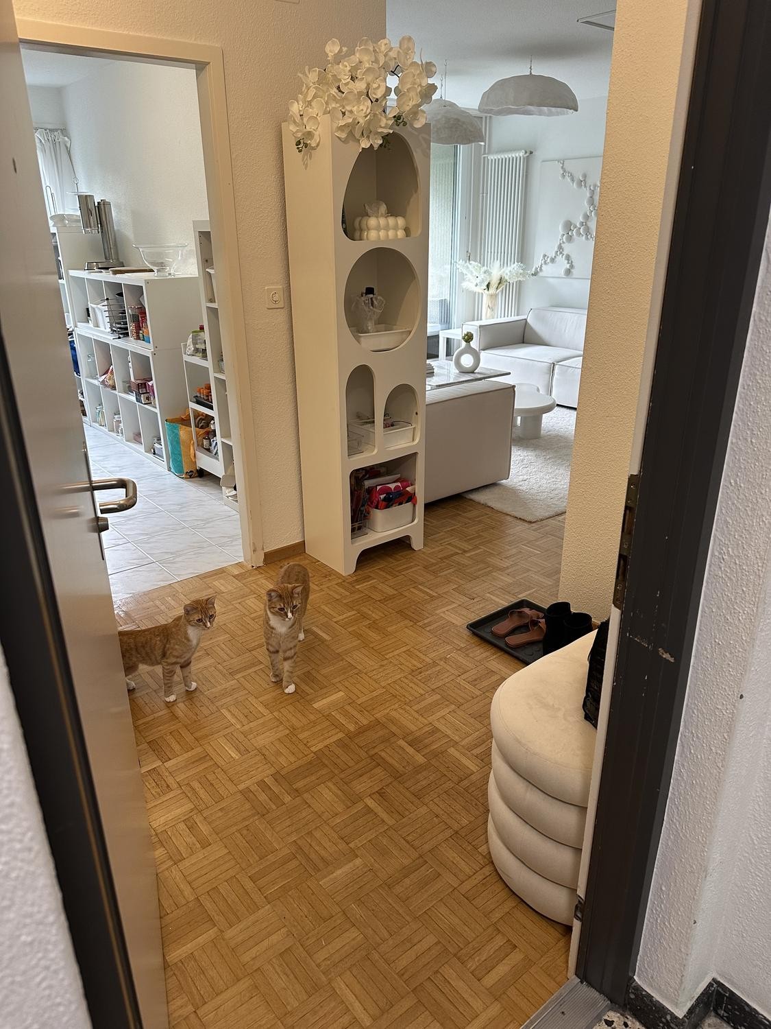 Appartamento di 3 ½ locali