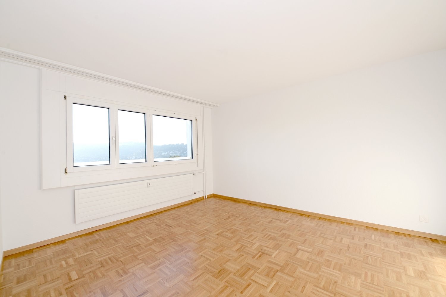 4 ½ Zimmer-Wohnung