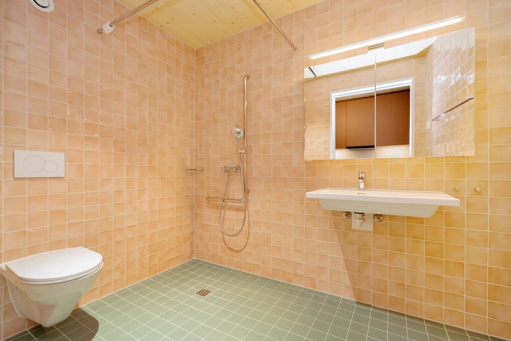 Appartement de 1 ½ pièces