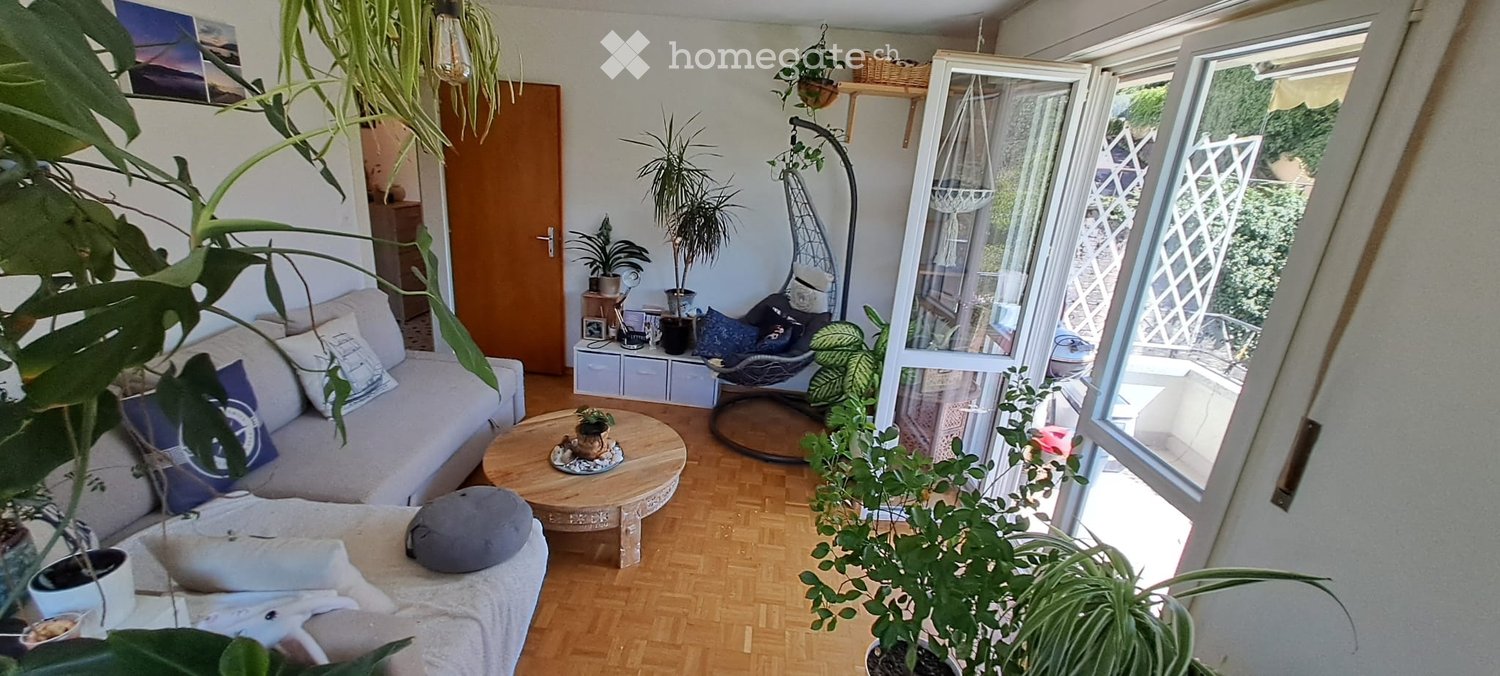 3 Zimmer Wohnung