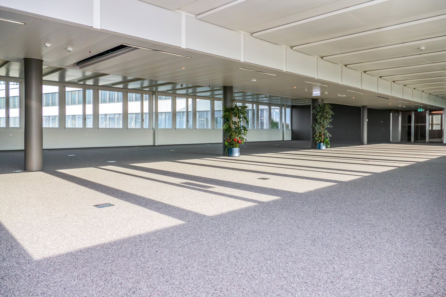 427m² office