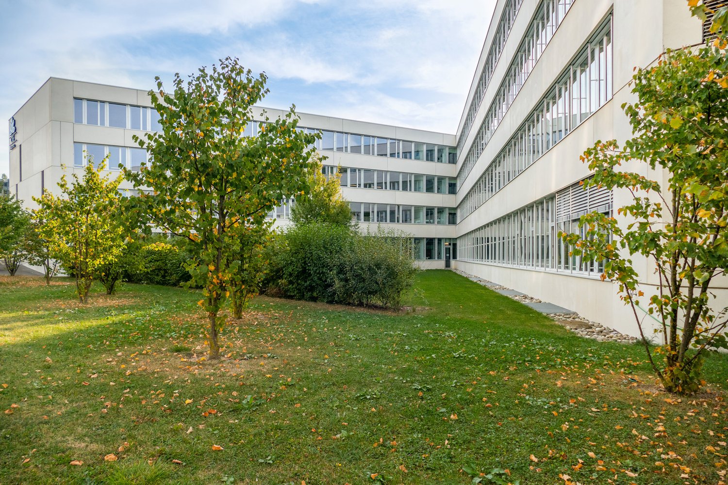427m² office