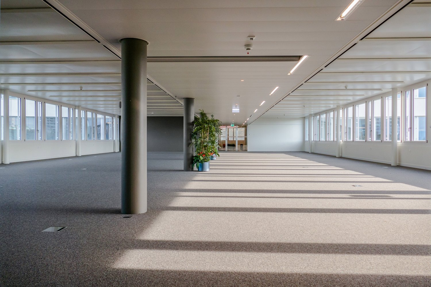 427m² office