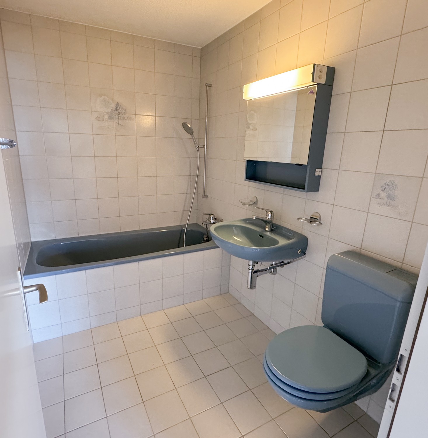 Appartamento di 2 ½ locali