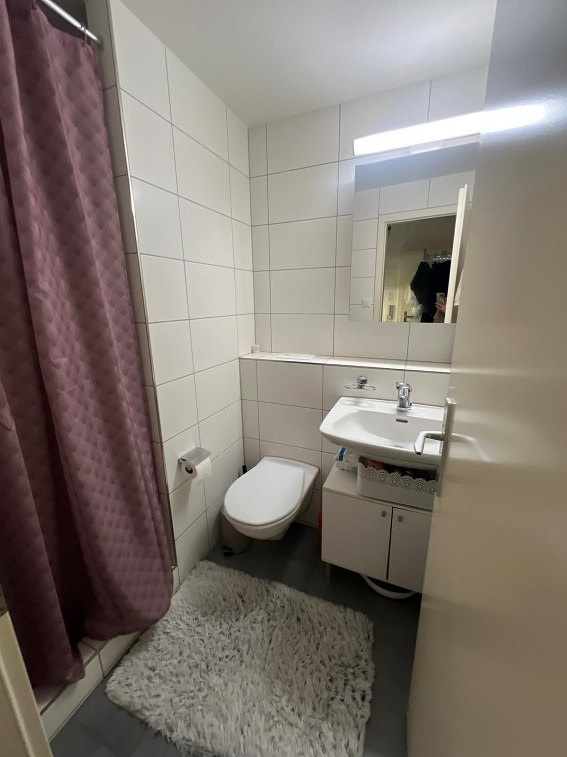 1 room apartment