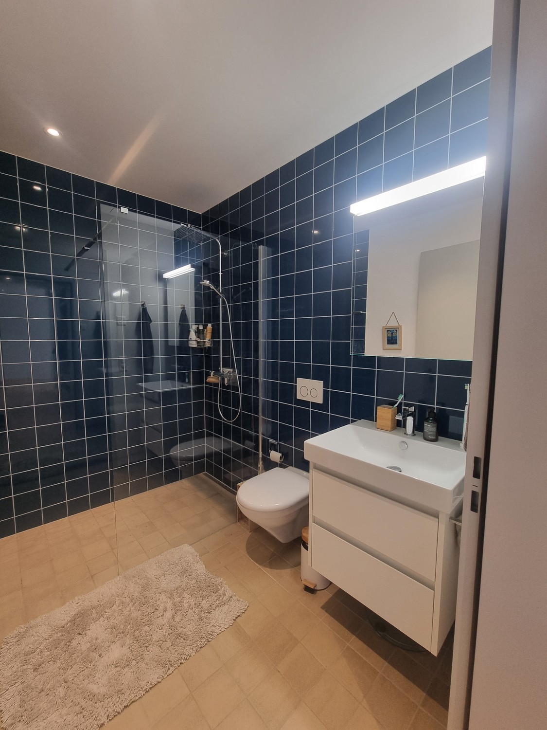 Appartamento di 2 ½ locali