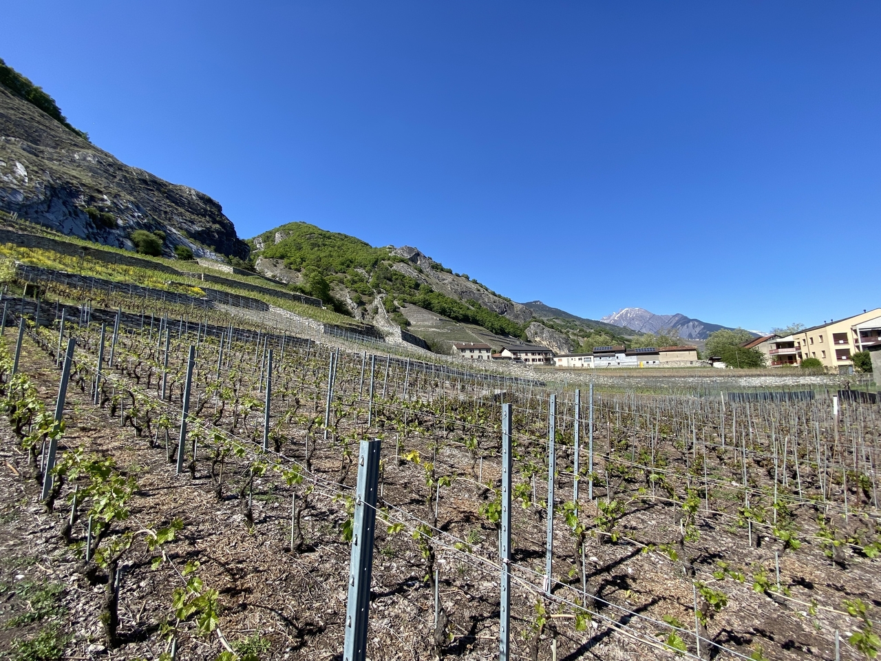 Appartamento di 4 ½ locali