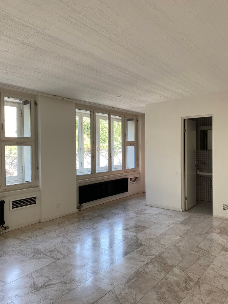 Appartement 1 pièce