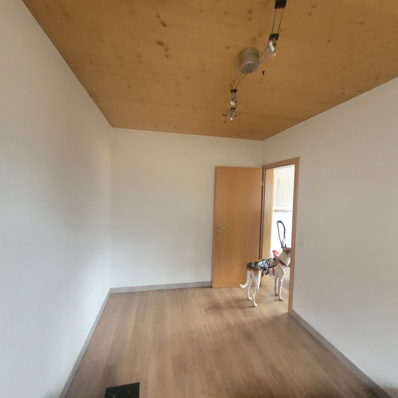 3 ½ pièces maison individuelle