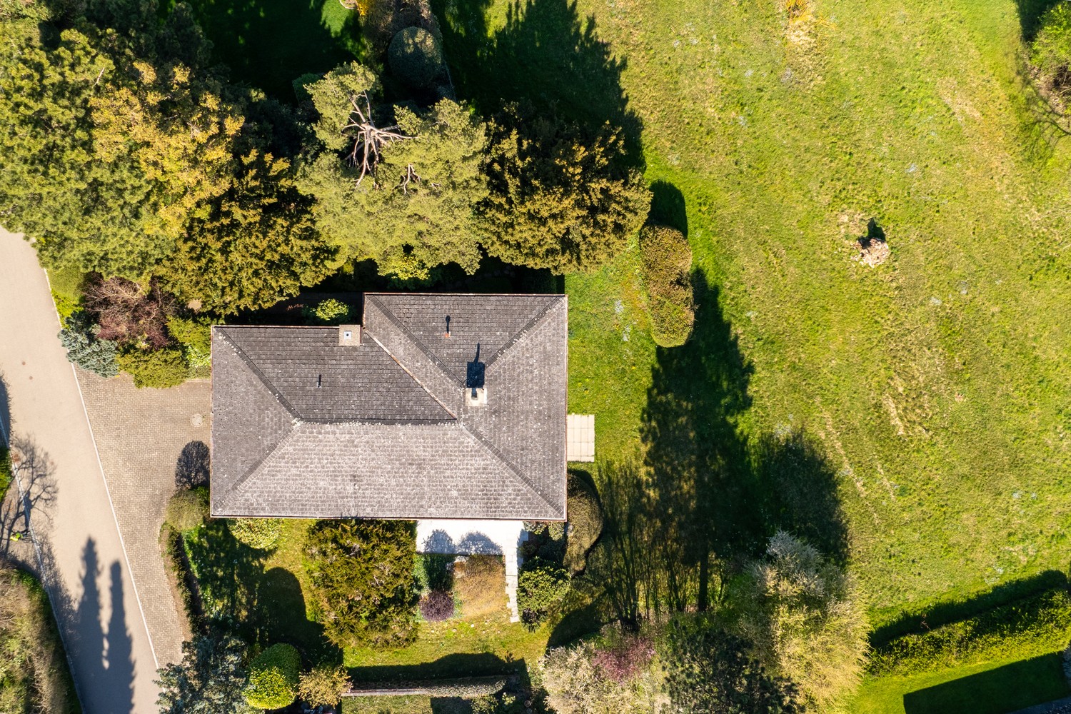 Single house