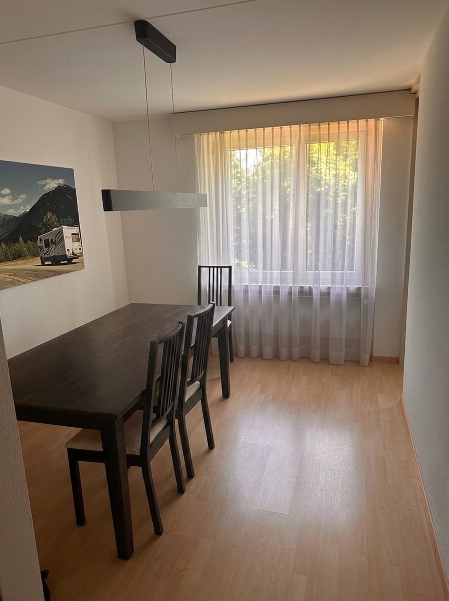 Appartamento di 3 ½ locali