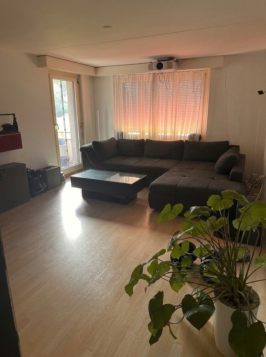 Appartamento di 3 ½ locali