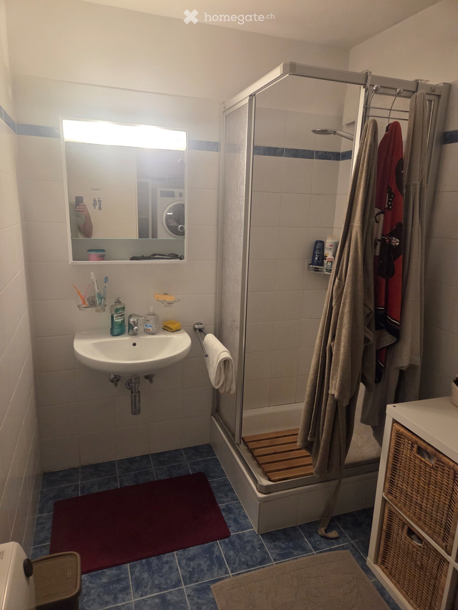 2 ½ Zimmer Wohnung