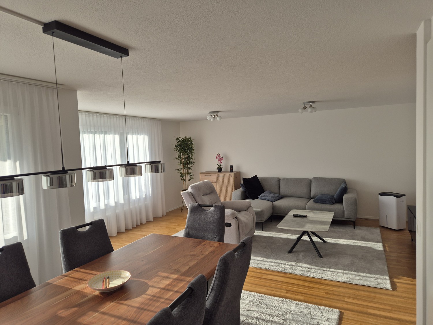 Appartamento di 3 ½ locali