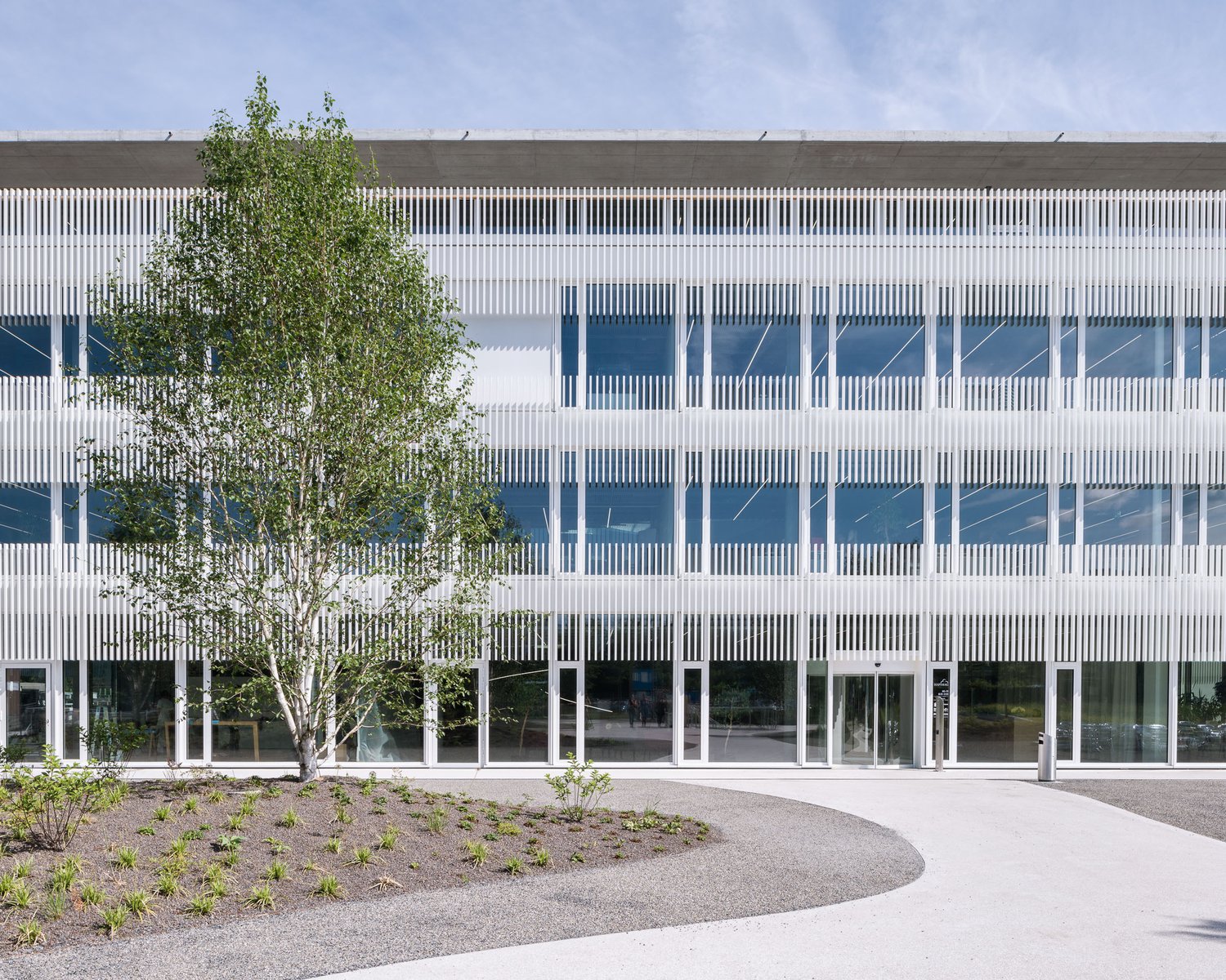 Bureau de 270m²