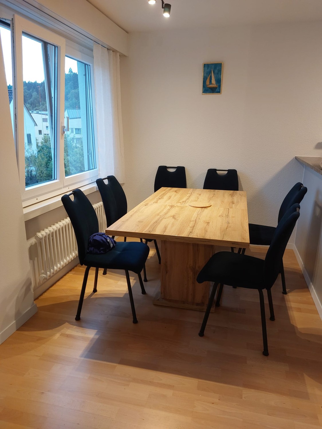 Appartement de 3 ½ pièces