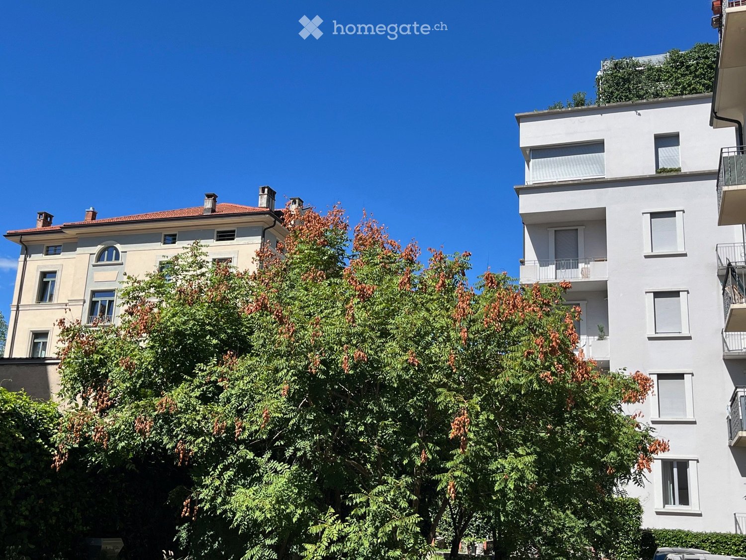 4 ½ Zimmer Wohnung