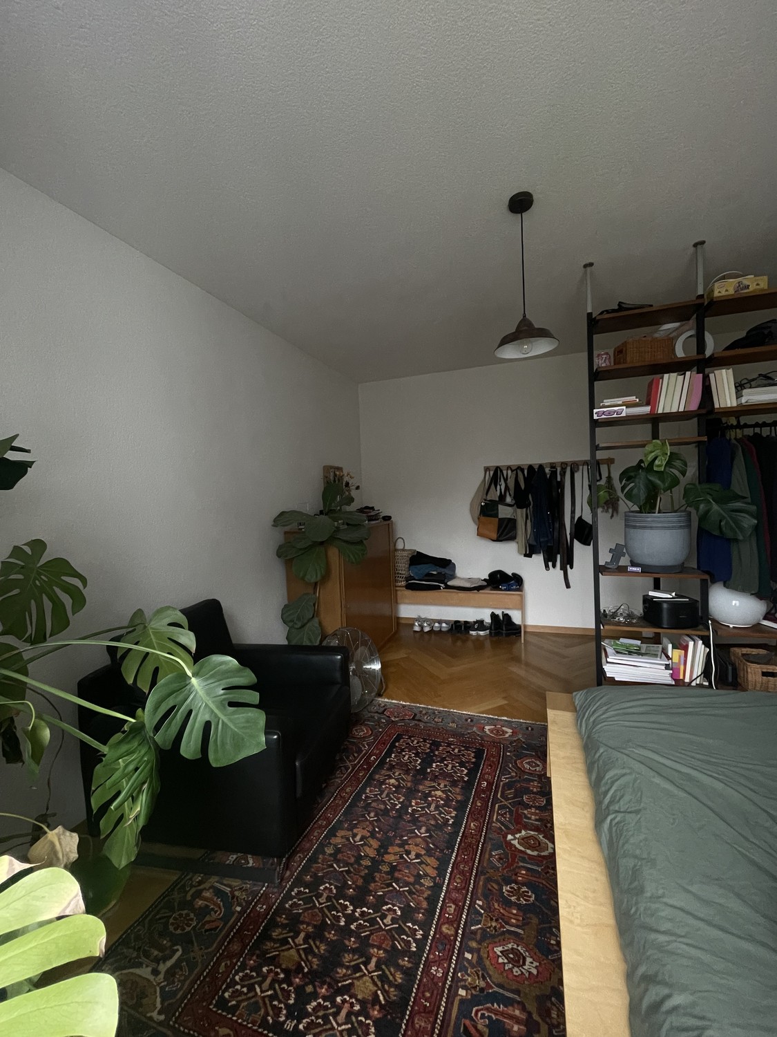 Room in a shared flat