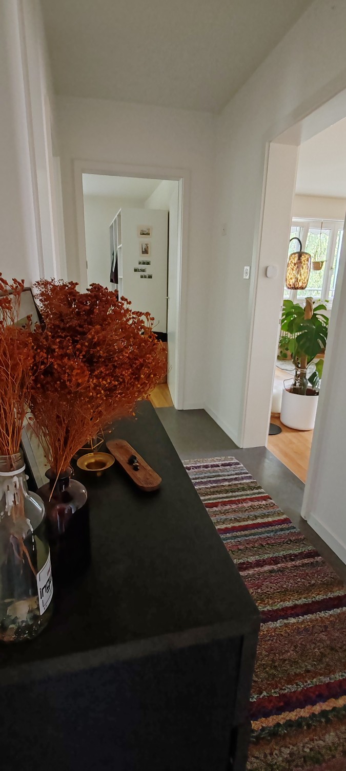 Room in a shared flat
