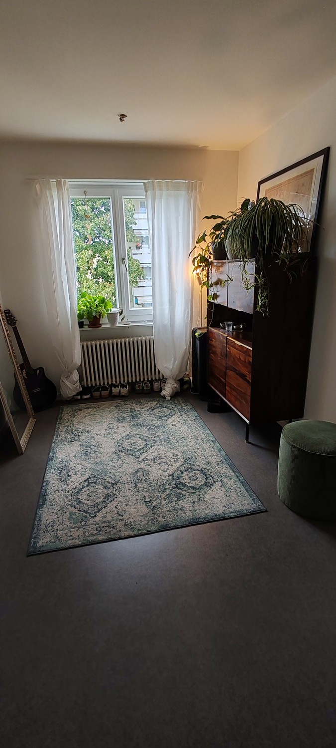 Room in a shared flat