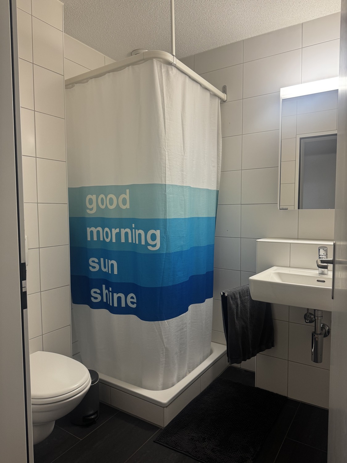 Room in a shared flat