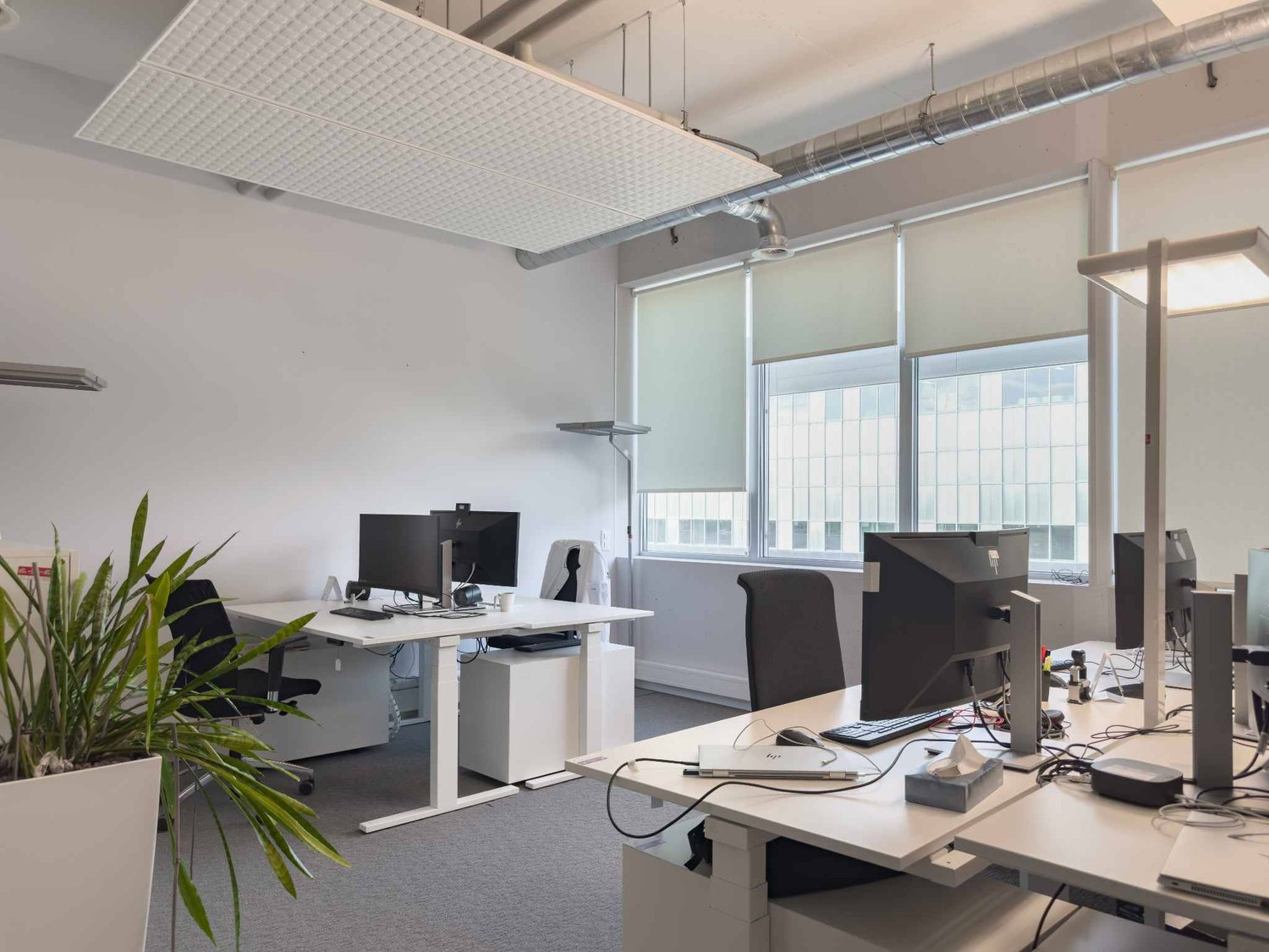 150m² commerciale