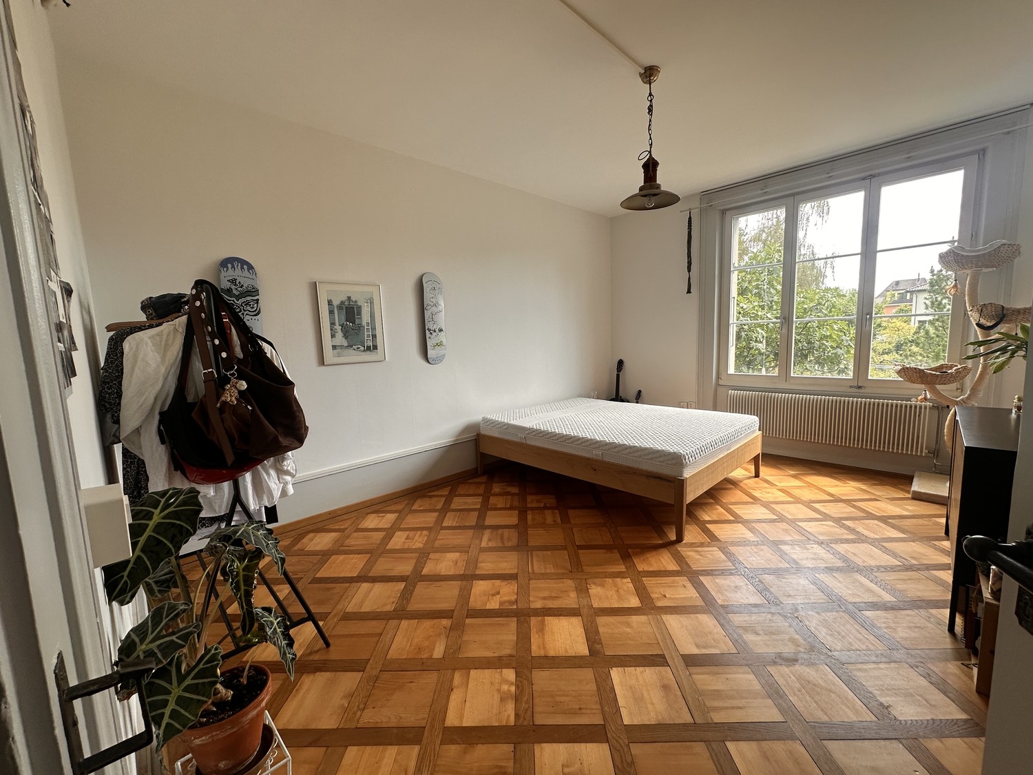 Room in a shared flat