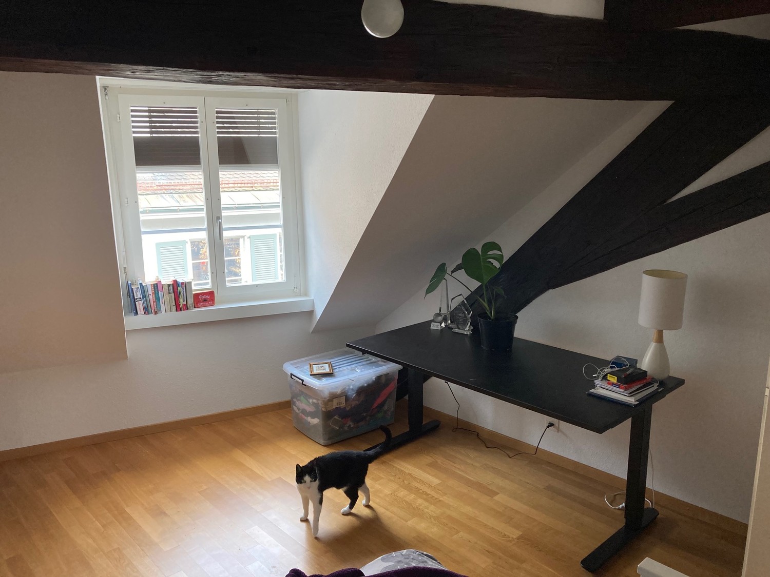 3 ½ rooms apartment