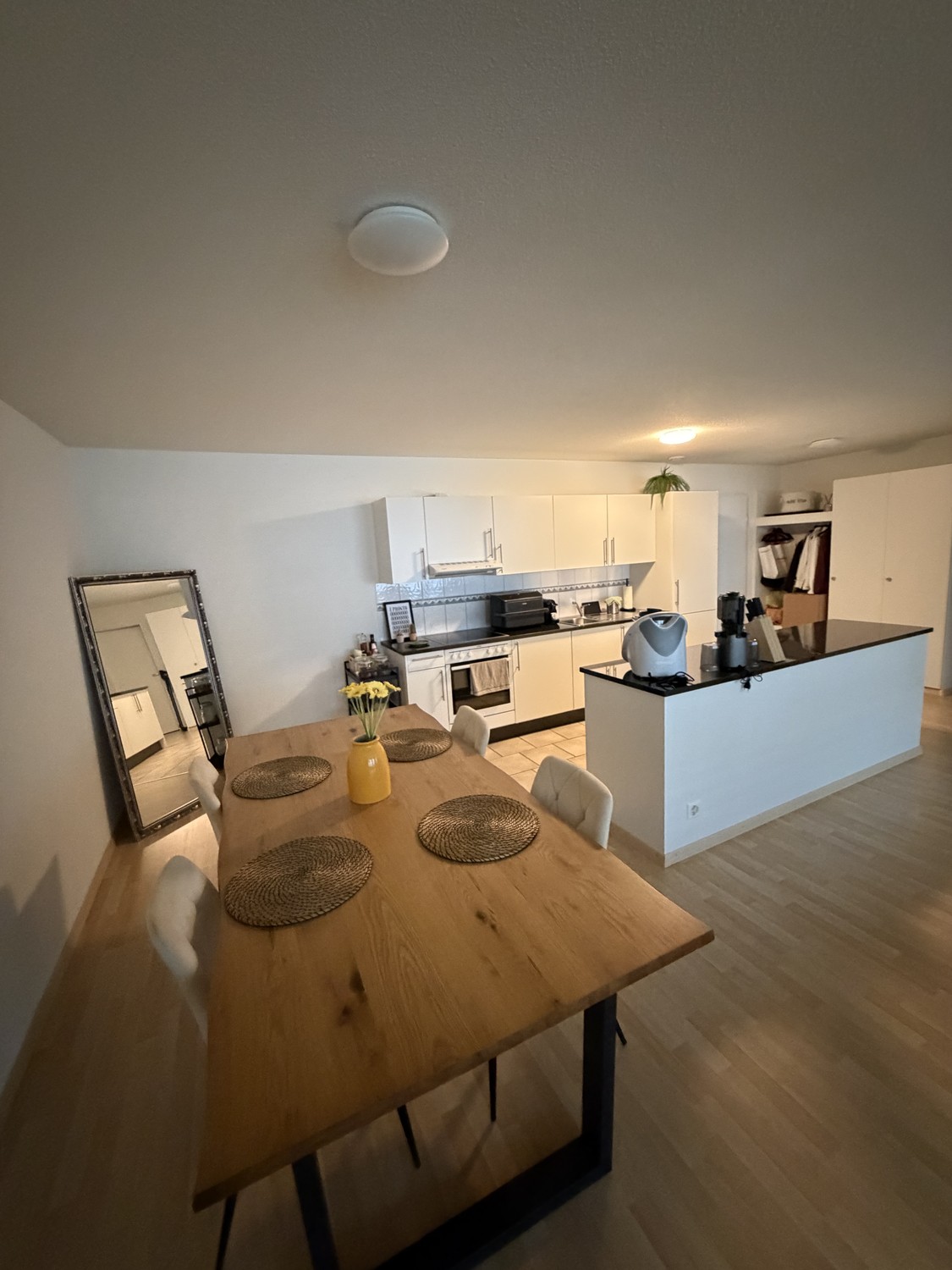 Appartamento di 2 ½ locali